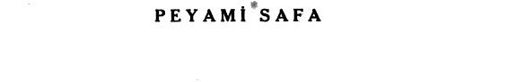 Bir tereddüdün romani kitap kapağı