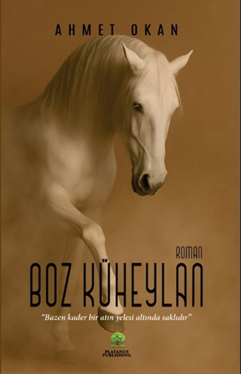 Boz Küheylan kitap kapağı