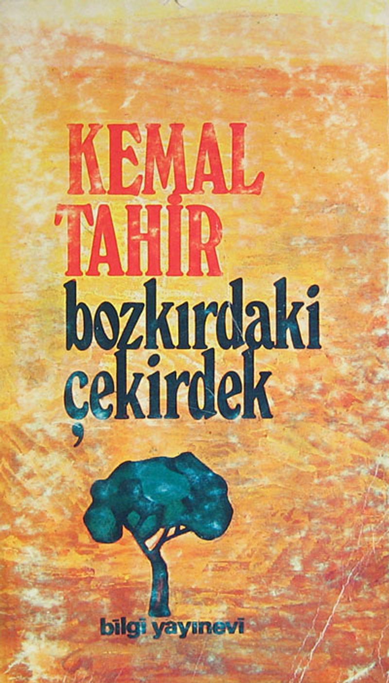 Bozkırdaki Çekirdek (2-D-30) kitap kapağı