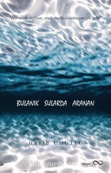 Bulanık Sularda Aranan kitap kapağı