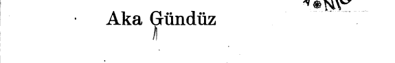 Çapkın kız kitap kapağı