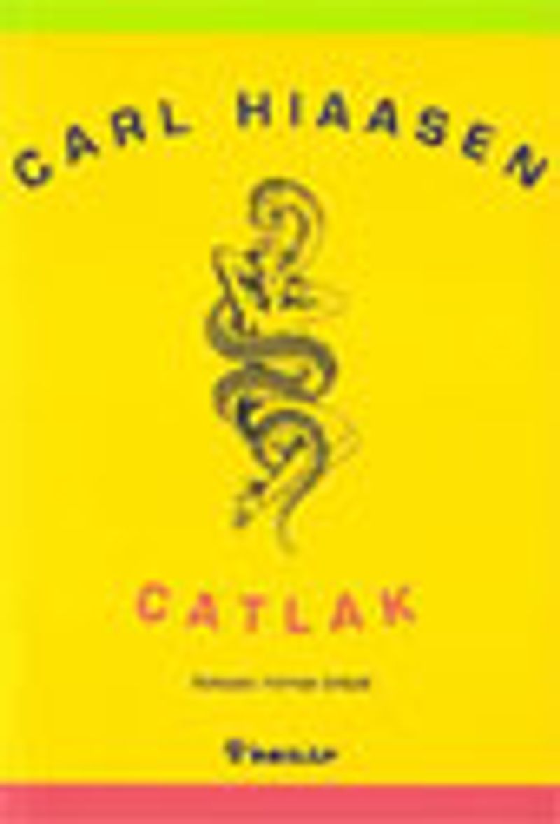 Çatlak kitap kapağı