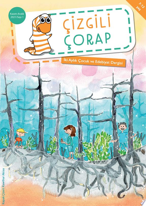 Çizgili Çorap kitap kapağı