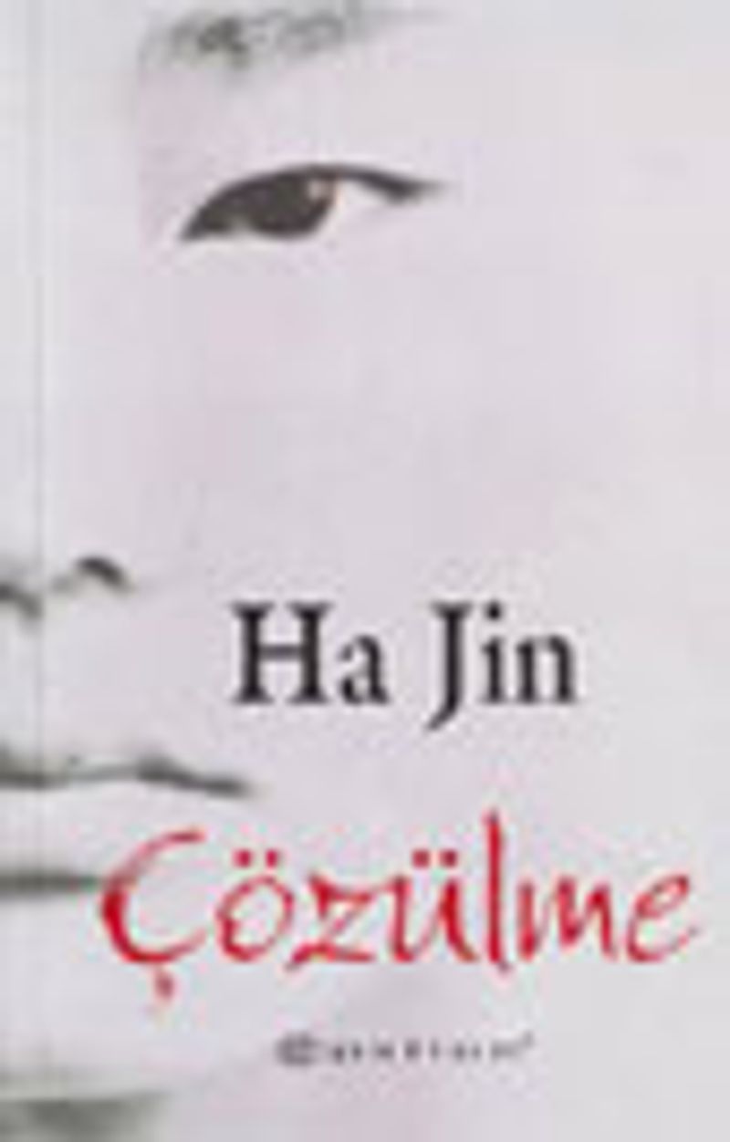 Çözülme kitap kapağı
