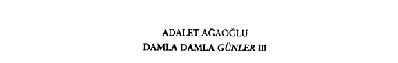Damla damla günler: 1983-1996 kitap kapağı