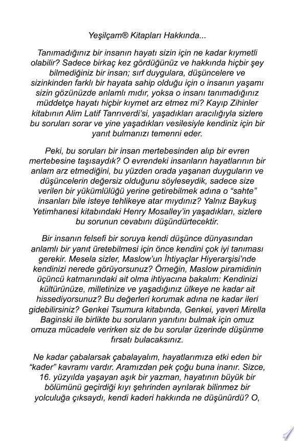 Demir Budun (Dijital Sanat Defteriyle Beraber) kitap kapağı