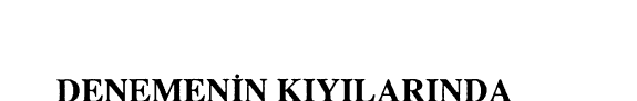 Denemenin kıyılarında kitap kapağı