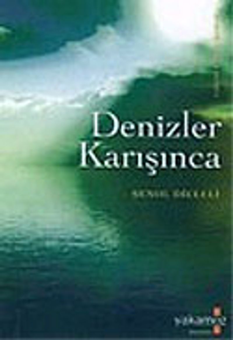 Denizler Karışınca kitap kapağı