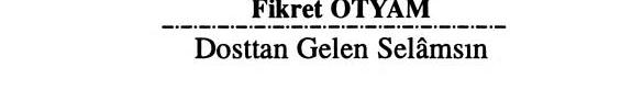 Dosttan gelen selâmsın kitap kapağı