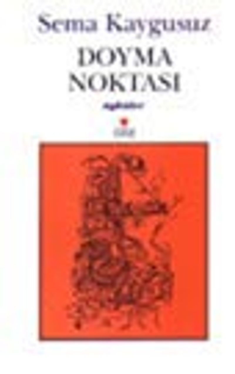 Doyma Noktası kitap kapağı