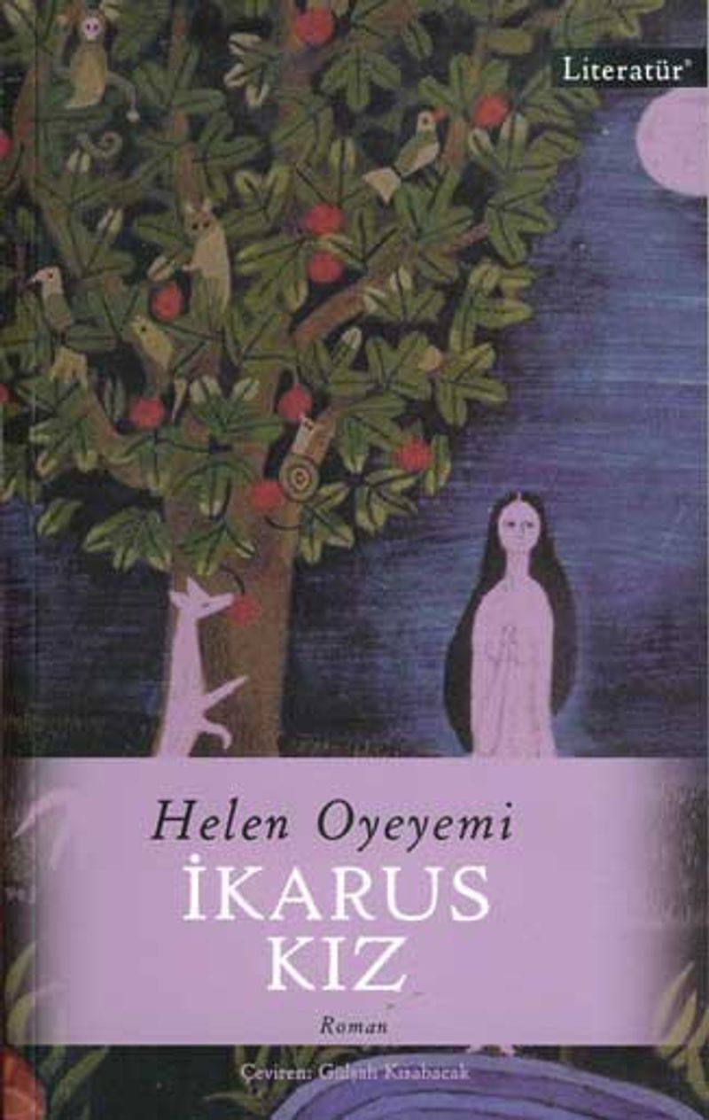 İkarus Kız kitap kapağı