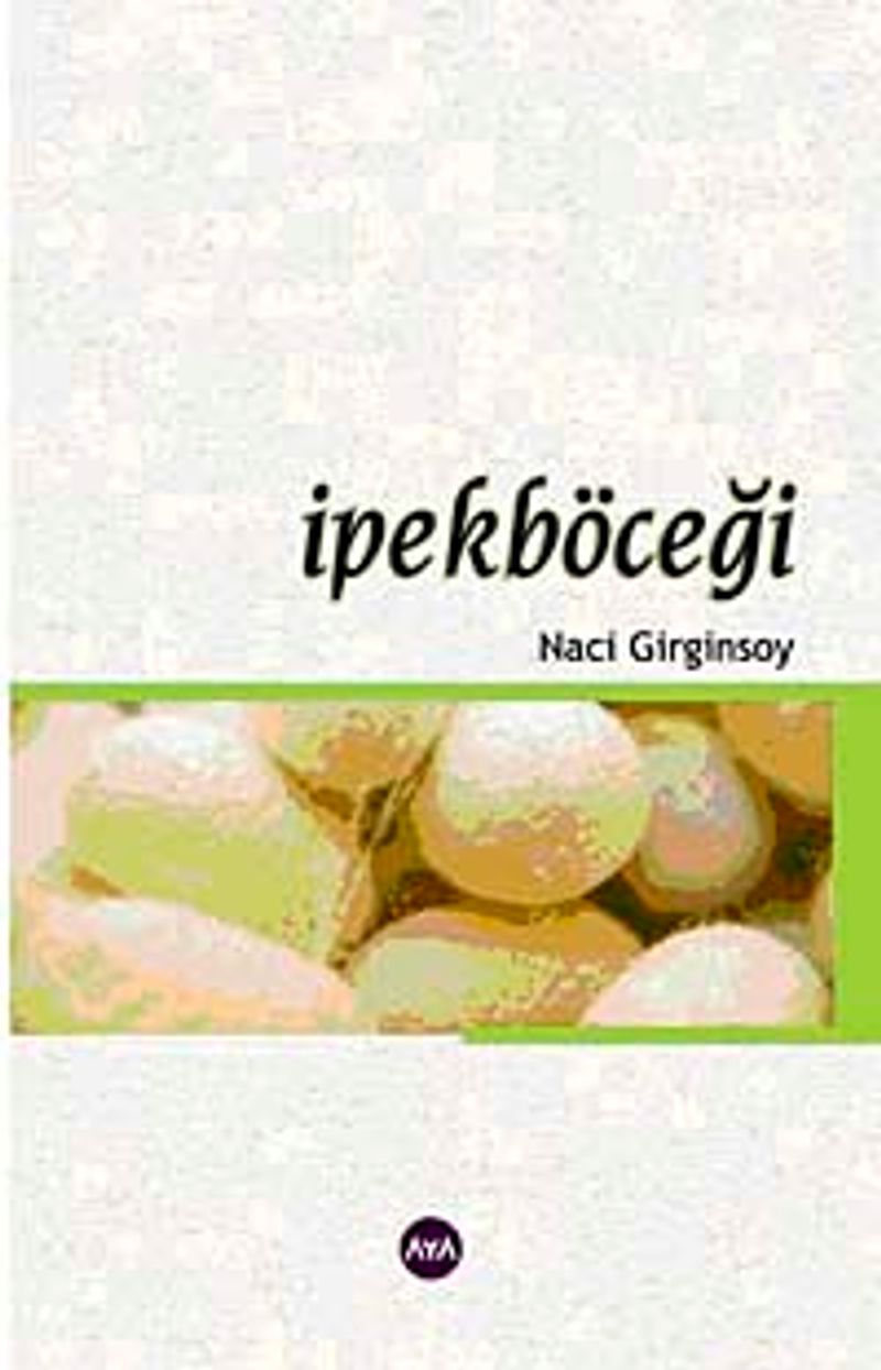İpekböceği kitap kapağı