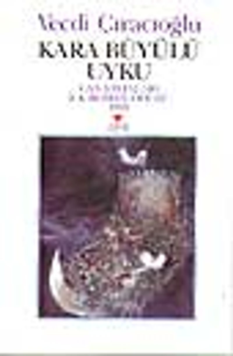 Kara Büyülü Uyku kitap kapağı