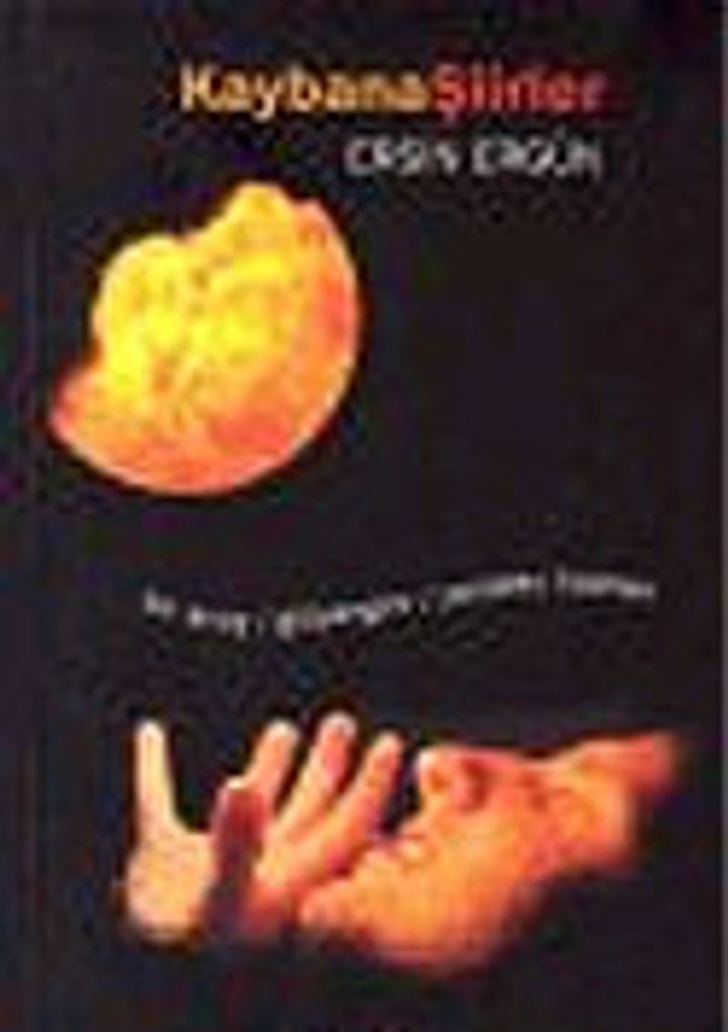 Kaybana Şiirler kitap kapağı