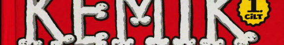 Kemik kitap kapağı