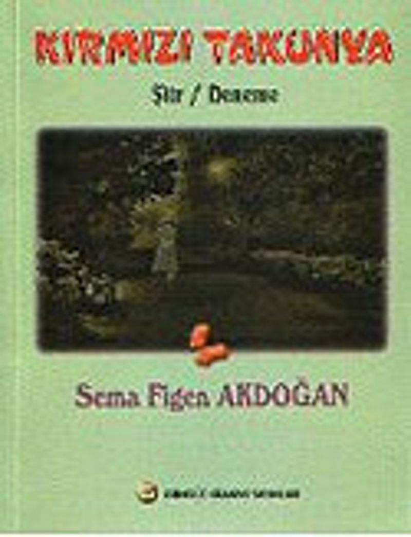 Kırmızı Takunya kitap kapağı