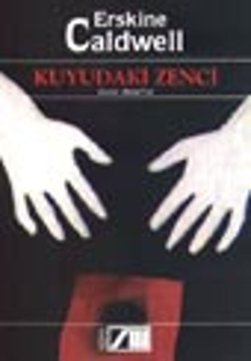 Kuyudaki Zenci kitap kapağı