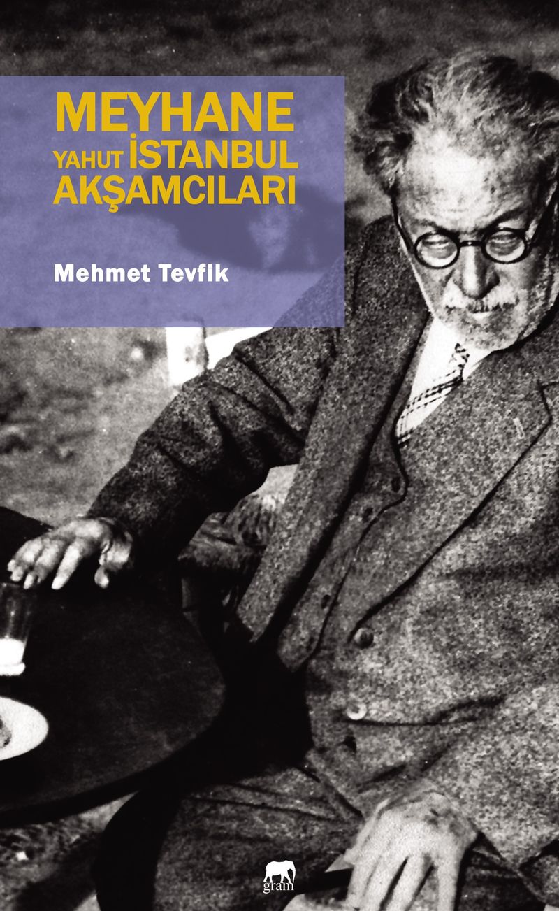Meyhane yahut İstanbul Akşamcıları kitap kapağı