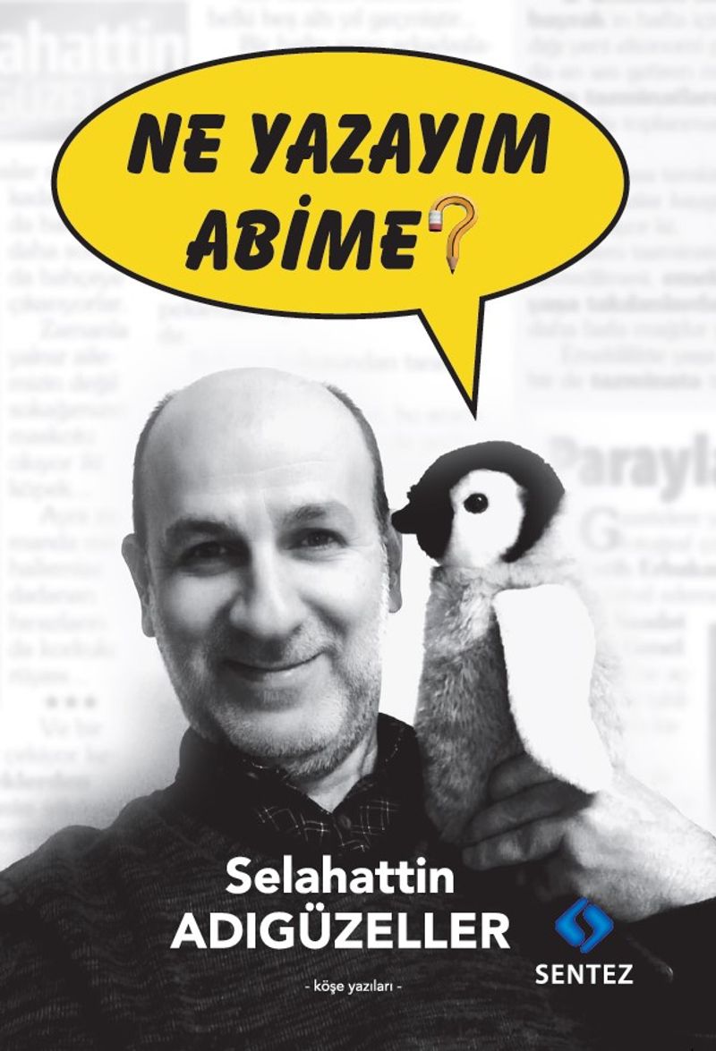 Ne Yazayım Abime? kitap kapağı