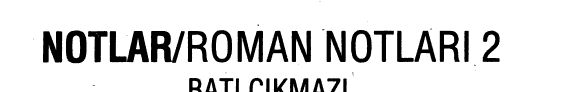 Notlar, roman notları 2 kitap kapağı