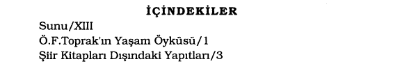 Ömer Faruk Toprak'ın düz yazıları kitap kapağı
