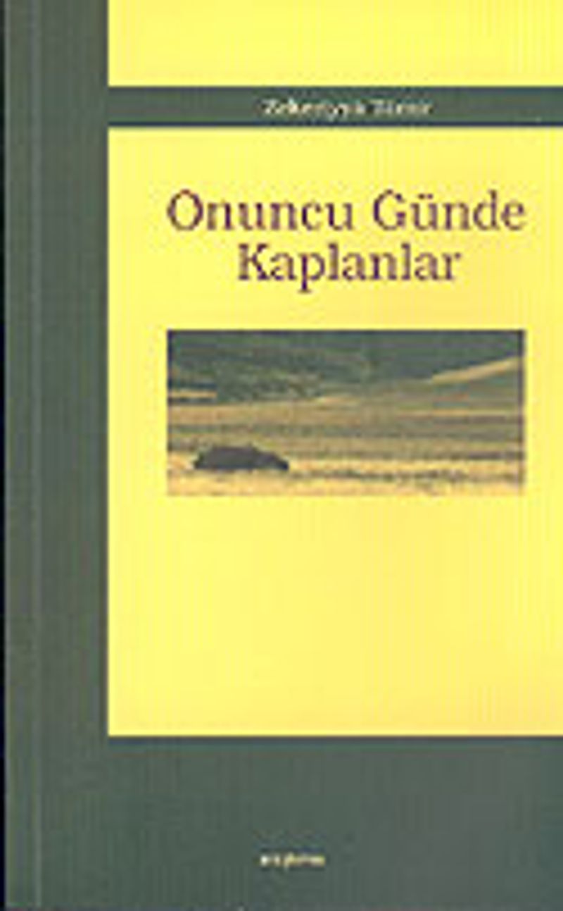 Onuncu Günde Kaplanlar kitap kapağı