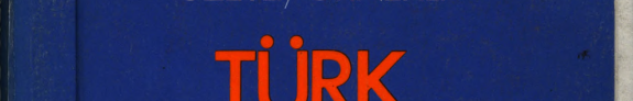 Özetli-örnekli Türk romanları kitap kapağı