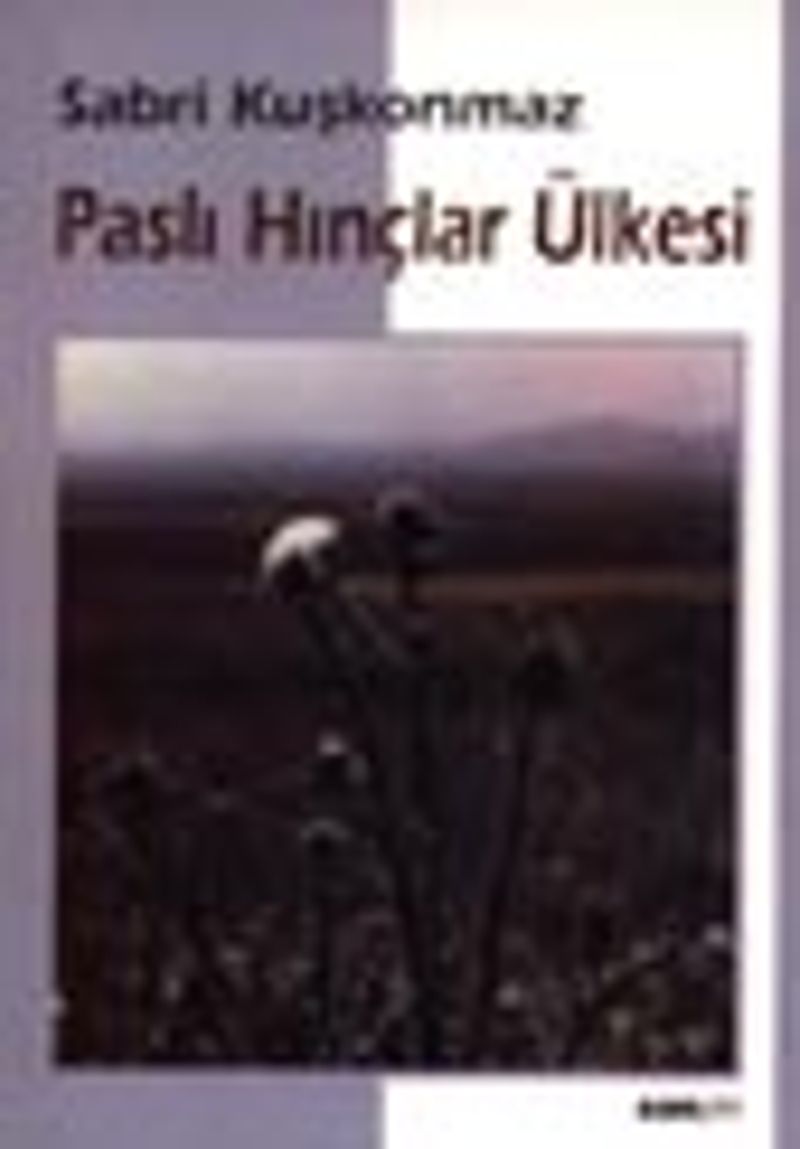 Paslı Hınçlar Ülkesi kitap kapağı