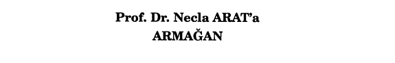 Prof. Dr. Necla Arat'a armağan kitap kapağı