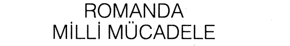 Romanda Milli Mücadele kitap kapağı