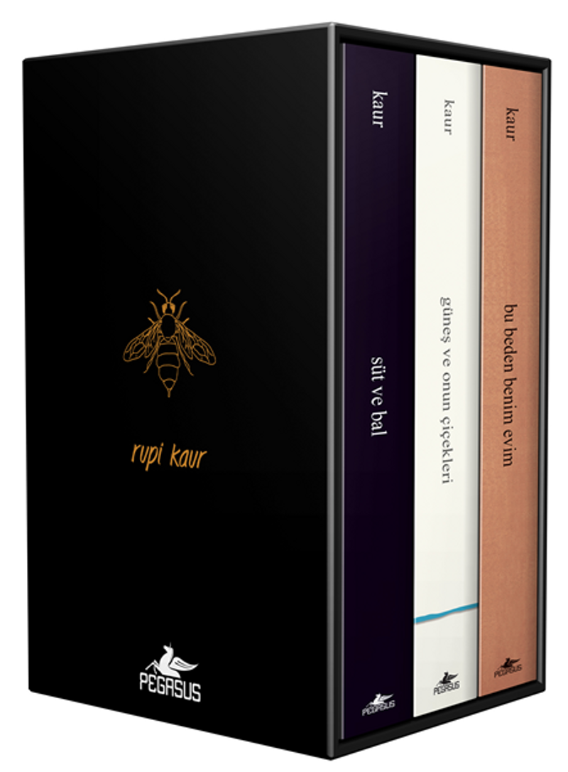 Rupi Kaur Şiir Koleksiyonu Kutulu Özel Set 3 Kitap kitap kapağı