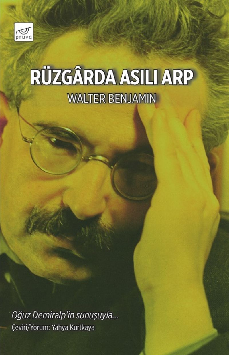 Rüzgarda Asılı Arp kitap kapağı