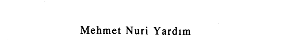 Safiye Erol kitabı kitap kapağı