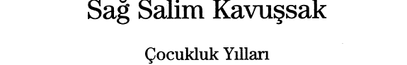 Sağ salim kavuşsak kitap kapağı