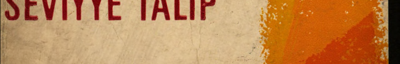 Seviyye talip kitap kapağı