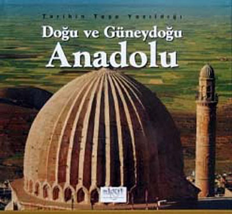 Tarihin Taşa Yazıldığı Doğu ve Güneydoğu Anadolu kitap kapağı