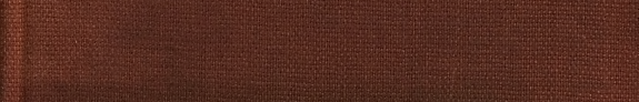 Türk Temaşasi kitap kapağı