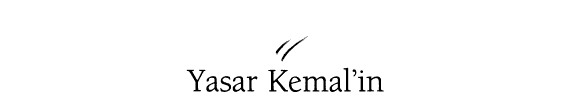 Yaşar Kemal'in sözlerinde yaşamak kitap kapağı
