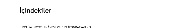 Zeynep Kerman kitabı kitap kapağı